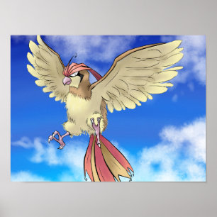 Affiche Pidge Otto