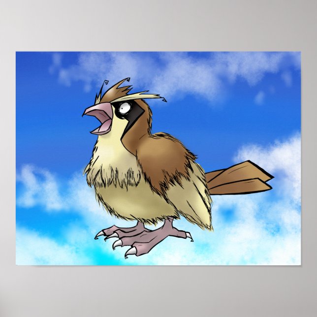 Affiche Pidge Y (Devant)