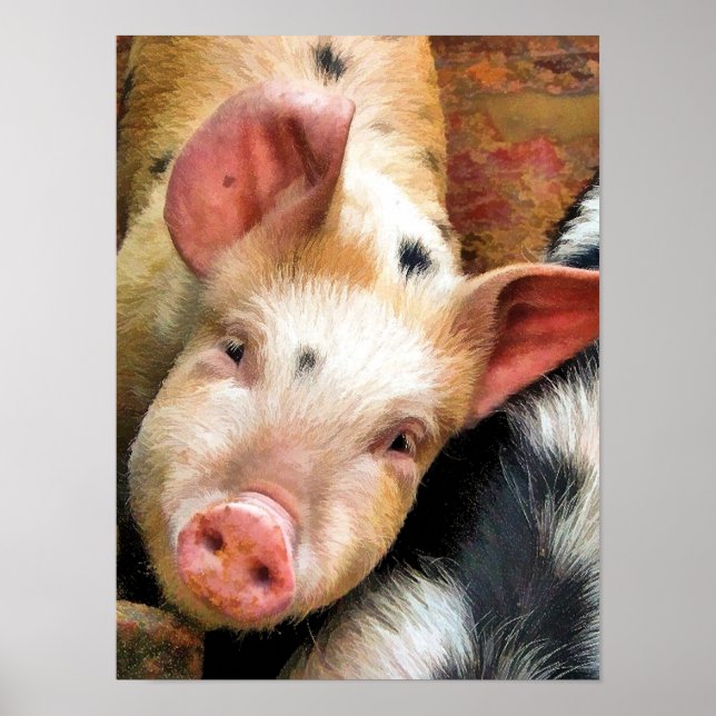 AFFICHE PIÈCES (Devant)