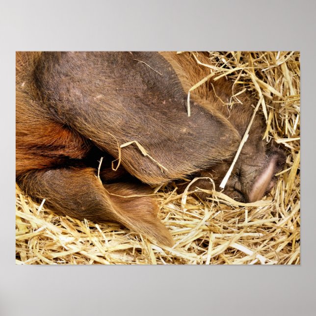 AFFICHE PIÈCES (Devant)