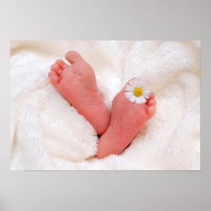 Affiche Pieds bébé avec marguerite