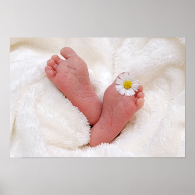 Affiche Pieds bébé avec marguerite (Devant)