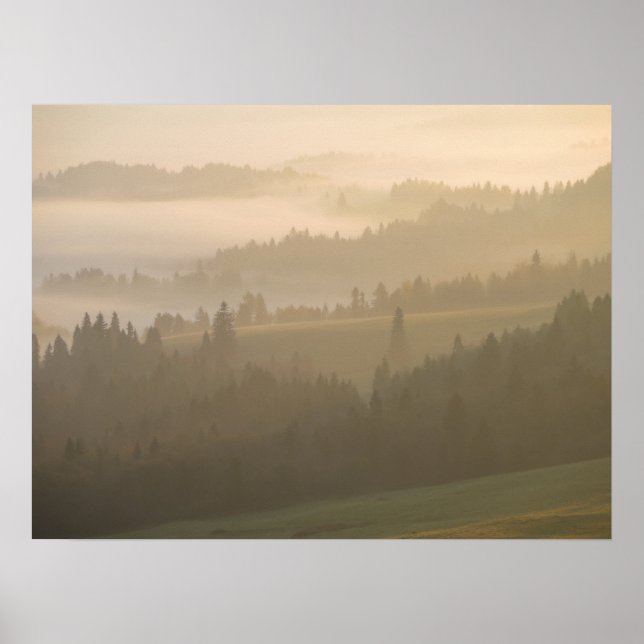 Affiche Pieniny brouillard (Devant)