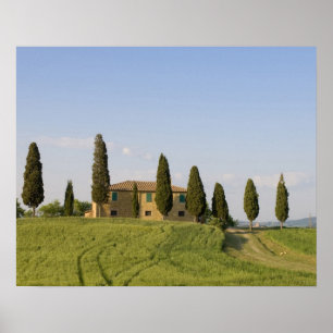 Affiche Pienza, Val d'Orcia, province de Sienne, Toscane,
