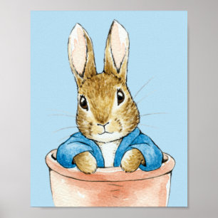 Affiche Pierre assis dans un pot de fleurs