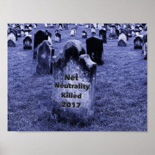 Affiche Pierre d'entrée de neutralité Net RIP