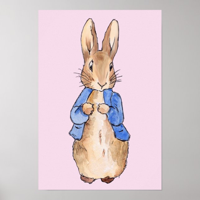 Affiche Pierre le lapin (Devant)