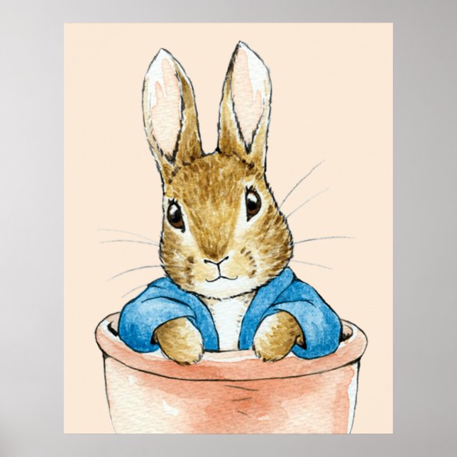 Affiche Pierre le lapin assis dans un pot (Devant)