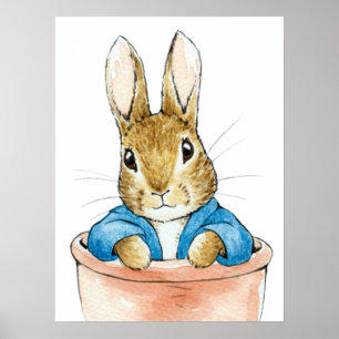 Affiche Pierre le lapin assis dans un pot de plante     