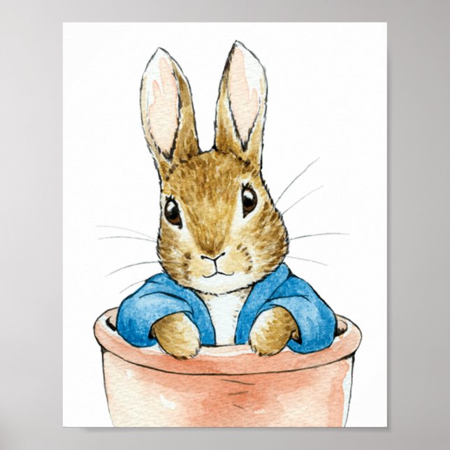 Affiche Pierre le lapin assis dans un pot de plante       (Devant)