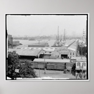 Affiche Pierres Holland-America Line, Hoboken, N.J. c1905