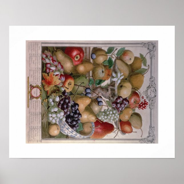 Affiche Pieter Casteels, douze mois de fruits Novembre (Devant)