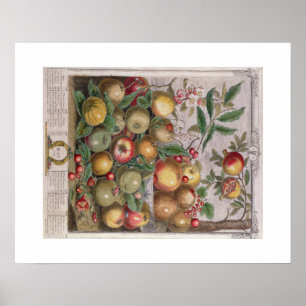 Affiche Pieter Casteels, douze mois de fruits, peut