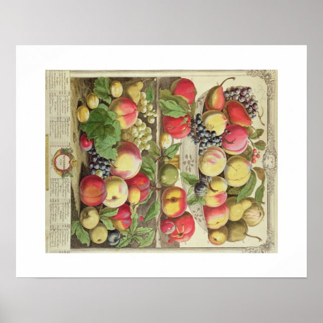 Affiche Pieter Casteels, Douze mois de fruits Septembre (Devant)
