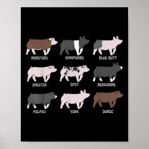 Affiche Pig Breed Show Pig Swine Show Stock Show Girl Pig