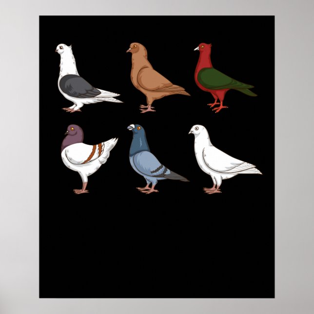 Affiche Pigeon Élevage Cadeau Hommes Pigeon Racing Pigeon  (Devant)