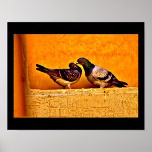 Affiche Pigeon Love