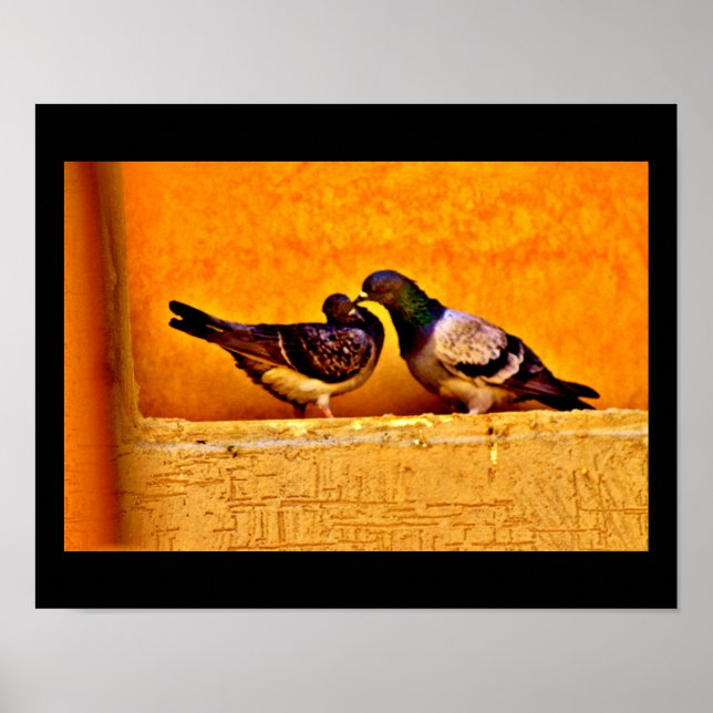 Affiche Pigeon Love (Devant)