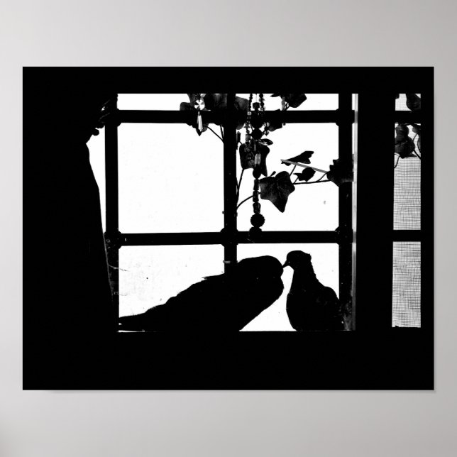 Affiche Pigeon Love (Devant)