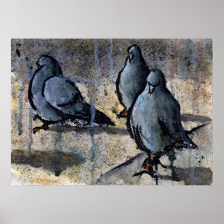 Affiche Pigeons #4