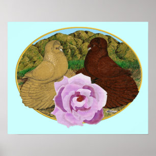 Affiche Pigeons Trompette et Rose