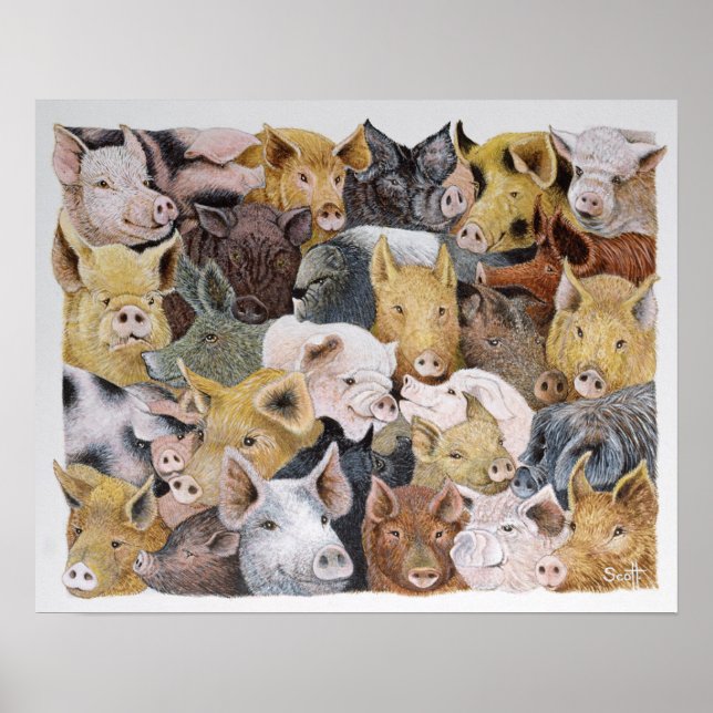 Affiche Pigs Galore (Devant)