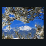 Affiche Pikes Peak Winter Snow Covered Fractal Art<br><div class="desc">Pikes Peak Mountain covered with snow in winter,  bordered with pine tree branches. The photo has an artistic touch to it,  with fractal art to create a dreamy feel.</div>