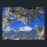 Affiche Pikes Peak Winter Snow Covered Fractal Art<br><div class="desc">Pikes Peak Mountain covered with snow in winter,  bordered with pine tree branches. The photo has an artistic touch to it,  with fractal art to create a dreamy feel.</div>