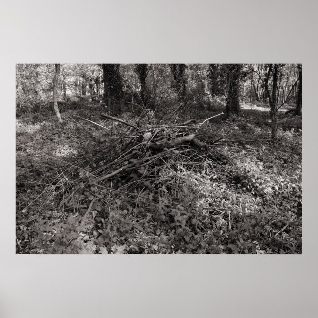 Affiche Pile de bâtons - Noir et Blanc Toné Chaud (Devant)