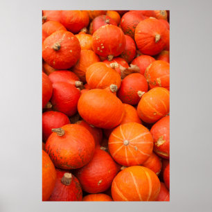 Affiche Pile de petits citrouilles, Allemagne