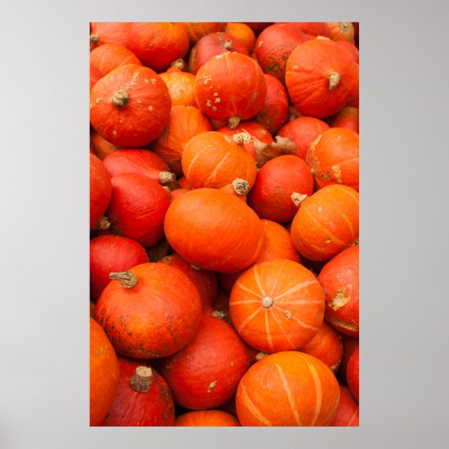 Affiche Pile de petits citrouilles, Allemagne (Devant)