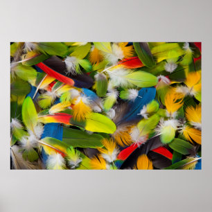 Affiche Pile de plumes colorées