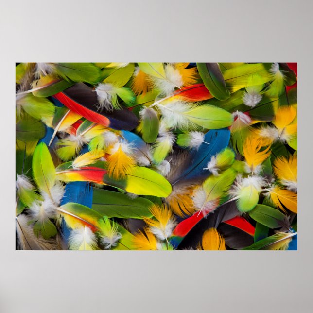 Affiche Pile de plumes colorées (Devant)