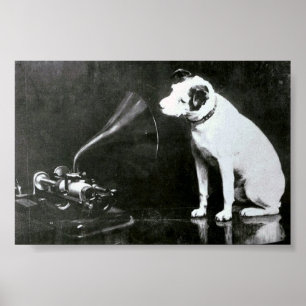 Affiche Pince originale
