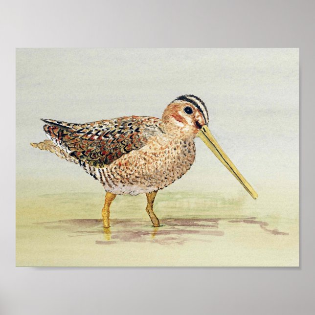 Affiche Pinceau commun (Devant)