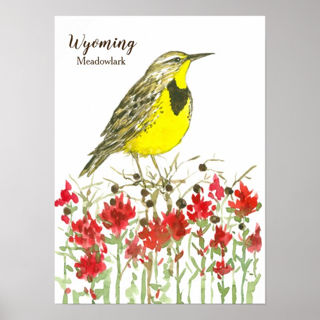 Affiche Pinceau indien Meadowlark Wyoming (Devant)