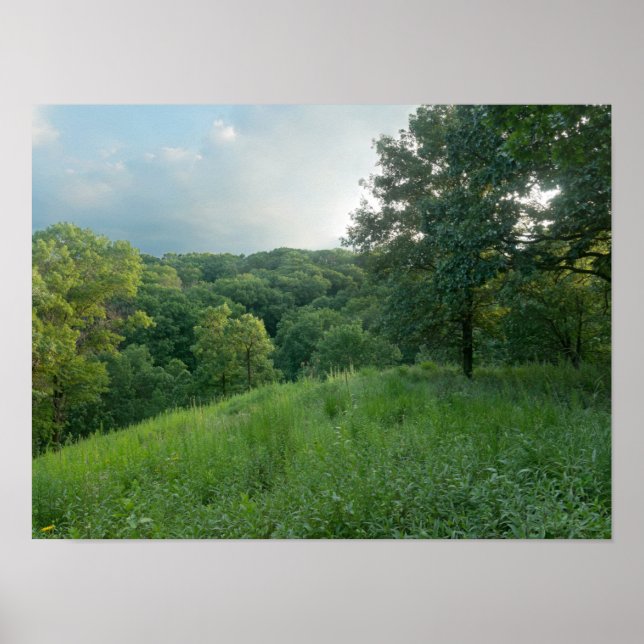 Affiche Pine Bend Bluff Surplombant Vallée Bois (Devant)