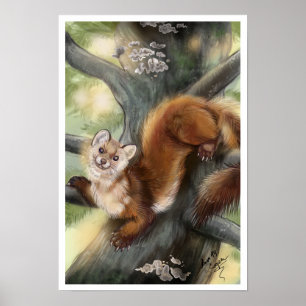 Affiche Pine Marten