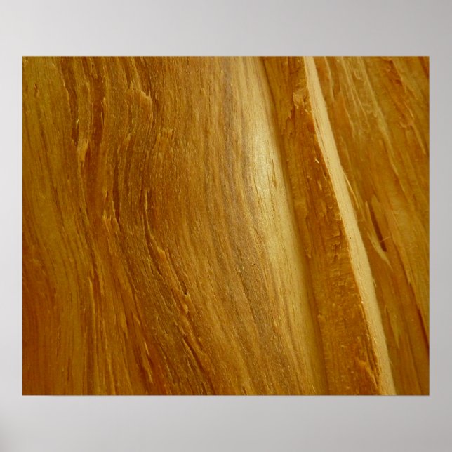Affiche Pine Wood II Faux Texture en bois (Devant)
