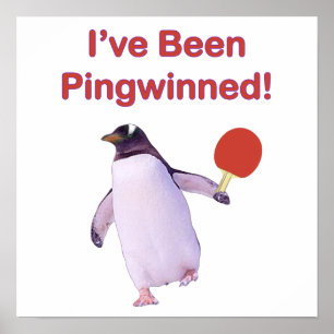 Affiche Ping-pong de pingouin de Pingwinned