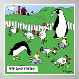 Affiche Pingouins à portée libre