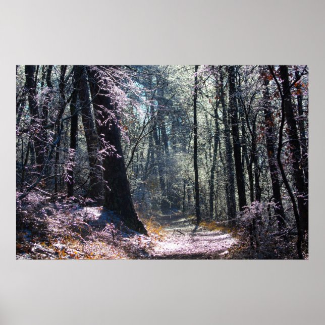 Affiche Pink and Green Ice Forest Hot Springs Mt Trail (Devant)