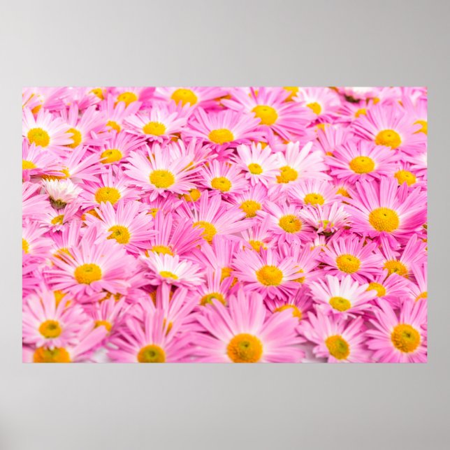 Affiche Pink and yellow flowers background  (Devant)