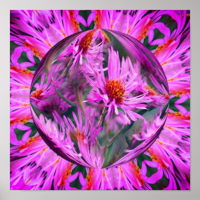 Affiche Pink Aster Flower Energies Art Abstrait (Devant)