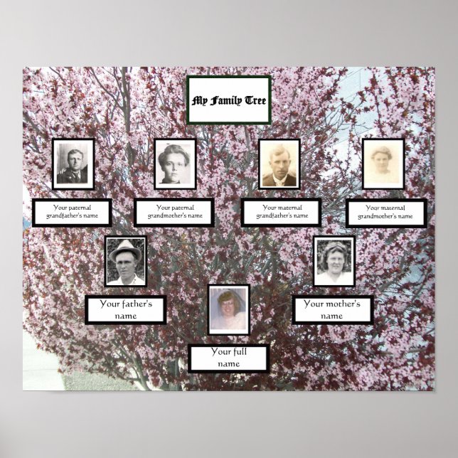 Affiche Pink Blossom Three-Generation Photo Family Tree (Devant)