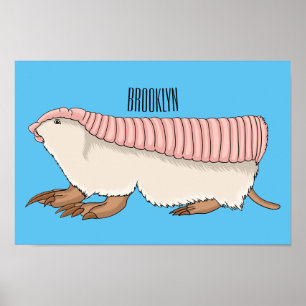 Affiche Pink fairy armadillo