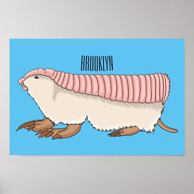 Affiche Pink fairy armadillo (Devant)