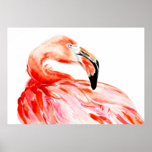 Affiche Pink Flamingo bird profile portrait, amazing beaut