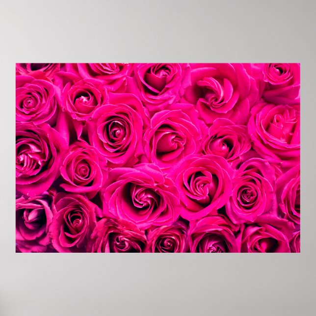 Affiche Pink flowers roses background (Devant)