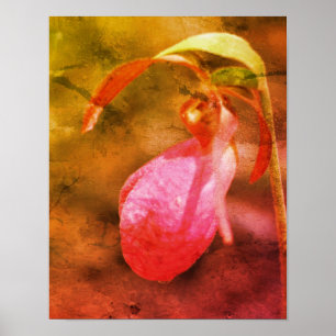 Affiche Pink Lady Slipper Orchard Raindrop Art dévêtu